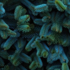 Christmas Tree Background with Natural Colorado Blue Spruce Twigs, Lush Coniferous Pattern