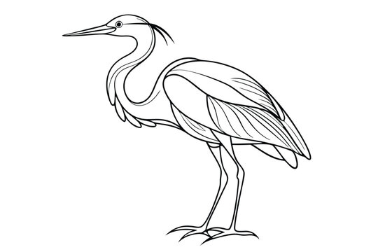 recommend clip art: Heron continuous line art drawing illustration black and white