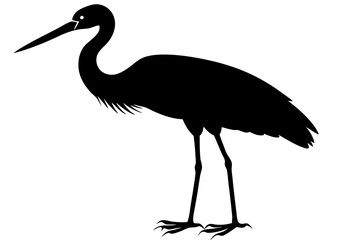 Stork bird silhouette vector, bird silhouette, stork bird black icon vector isolated on white background