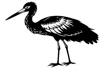 Stork bird silhouette vector, bird silhouette, stork bird black icon vector isolated on white background