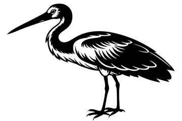 Stork bird silhouette vector, bird silhouette, stork bird black icon vector isolated on white background
