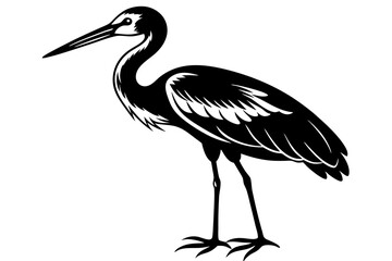 Stork bird silhouette vector, bird silhouette, stork bird black icon vector isolated on white background
