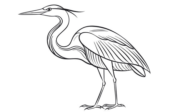 recommend clip art: Heron continuous line art drawing illustration black and white
