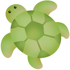 Sea Turtle hand drawn cartoon