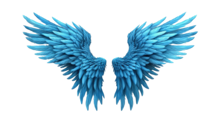 The wings of a blue bird are shown in detail