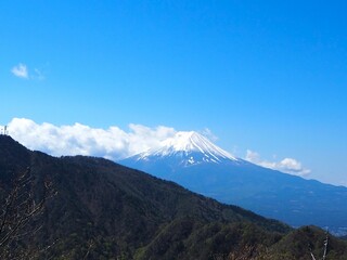 本社カ丸から見た富士山