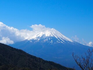 本社カ丸から見た富士山