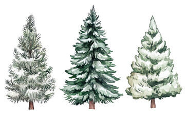 Obraz premium Illustration of three snow-covered pine trees, each with unique details, perfect for winter or holiday-themed projects.