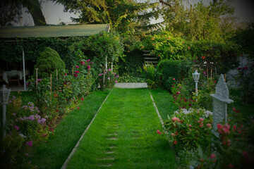 A garden with flowers and green grass