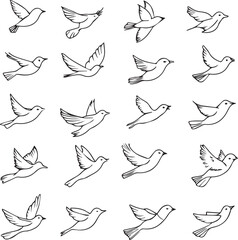 Fototapeta premium set of birds icons