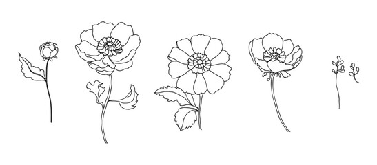 simple black line art of poppy flower vector collection