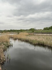 Blue lake with green and sky