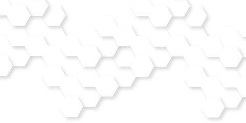 Obraz premium Abstract background with hexagon, modern abstract vector polygonal pattern. Futuristic abstract honeycomb technology white background. Luxury white hexagon pattern.