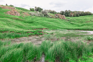 Grassy field with a pond in the middle. The pond is surrounded by tall grass and rocks