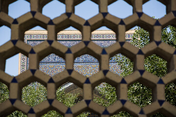 Wall decorated with mosaic with arabesques, seen through a blurred grate