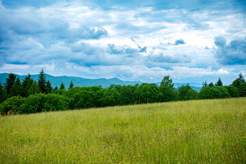 Bieszczady g&oacute;ry las drzewa łąka polana pole dolina niebo chmury wiosna lato pochmurnie burza