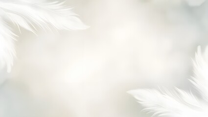 Obraz premium A white background with feathers.