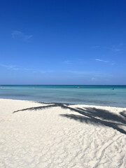 sand beach and blue sky