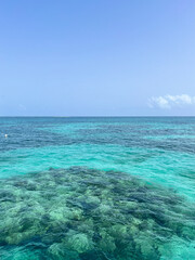 tropical island in the island sea