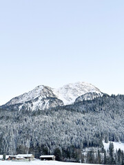 Fototapeta premium House at the feet of the Swiss alps. 