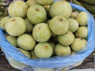 Tinda (benincasa fistulosa), a vegetable of south asia round melon, apple gourd, Indian squash, Indian roundgourd, Indian baby pumpkin closeup image stock photo 