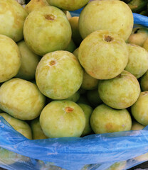 Benincasa fistulosa, tinda a vegetable of south asia round melon apple gourd, Indian squash, Indian roundgourd, Indian baby pumpkin closeup image stock photo 