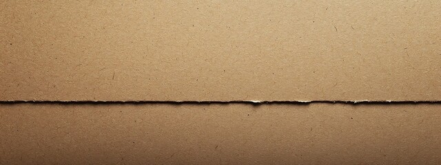 Fototapeta premium Abstract Texture of Rough Cardboard with a Seam
