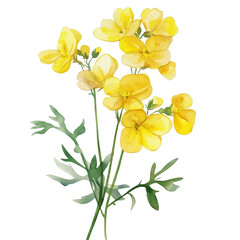 Yellow bunch of flowers, watercolor clipart illustration with isolated background.