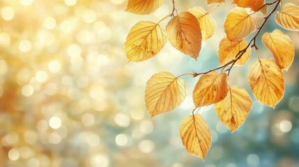 Golden autumn leaves hanging from a delicate branch, with a soft bokeh background that enhances the warmth and serenity of the fall season.