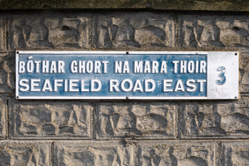 Fototapeta premium street sign