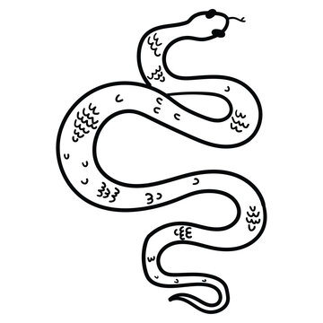 Hand drawn doodle snake on white background.