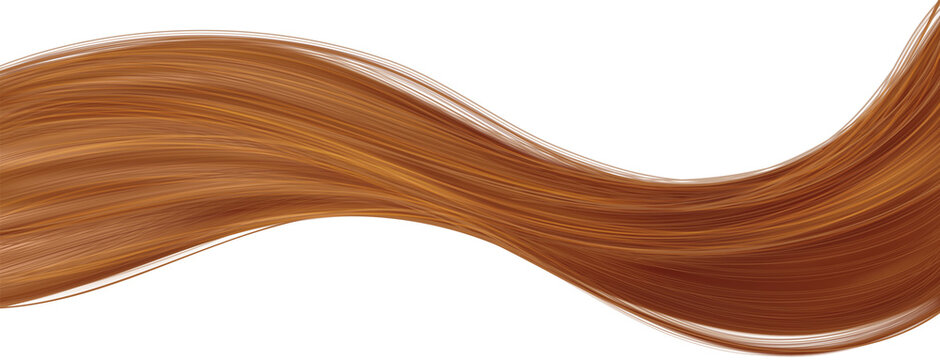 Brown long waved woman hair strand lock