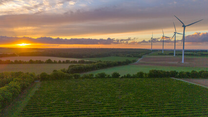 Wind Turbines and Sunrise Over Countryside Fields