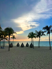 Obraz premium trees on the beach Sunset