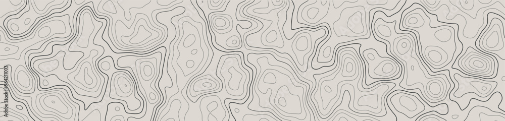 Poster contour topographic map background. topography and geography map grid abstract backdrop. editable st
