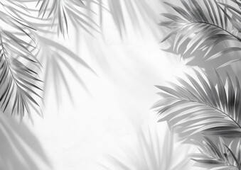 Abstract shadow of palm leaves on white concrete wall background, summer concept. Design for product presentation, mockup template. White and grey color, soft light, shadow overlay.