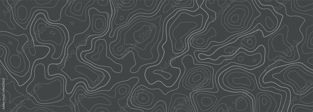 Poster horizontal panoramic background of the topographic map. editable stroke. topographic map lines, cont