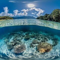 Naklejka premium ## Tropical Lagoon Paradise: 360Â° Virtual Dive into Crystal Clear Waters & Coral Reefs