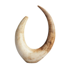 A large, curved piece of ivory with a brown tip
