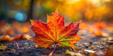 Vibrant autumn maple leaf on the ground