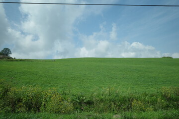 夏の北海道、リアルな壁紙