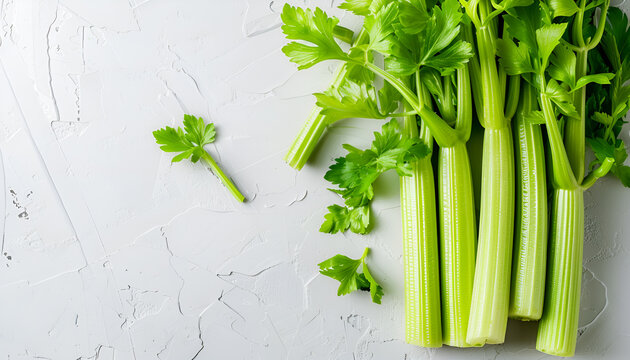 fresh celery isolated on white background.Top view. Flat lay