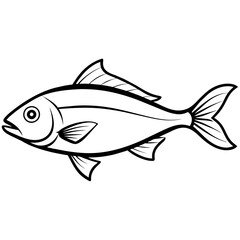 fish on a white background