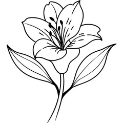illustration of a flower