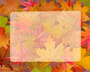 autumn leaves background