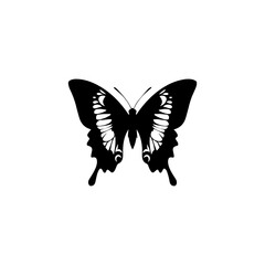 Butterfly silhouette vector on white background.