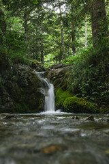 Fototapeta premium A gentle waterfall flows over moss-covered rocks into a calm stream in the middle of a lush forest. The peaceful atmosphere and surrounding greenery create a serene and refreshing natural escape.