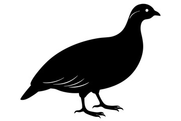 Fototapeta premium silhouette of a pigeon