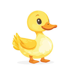 Fototapeta premium duck isolated on white background