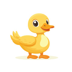 Fototapeta premium duck isolated on white background